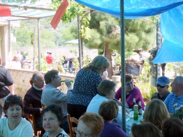 Mallorca 2010 023